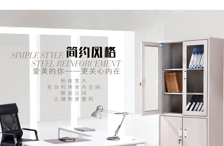 深圳大器械文件柜，深圳兴百胜文件柜厂家