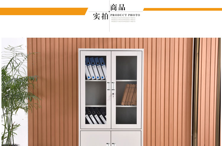 深圳大器械文件柜，深圳兴百胜文件柜厂家