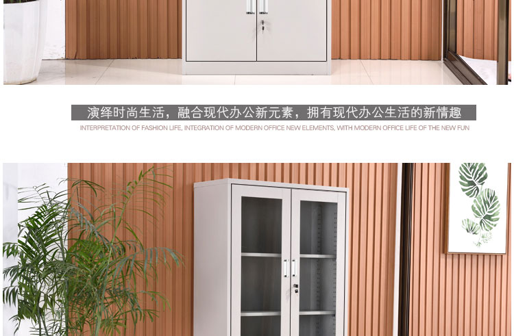 深圳大器械文件柜，深圳兴百胜文件柜厂家