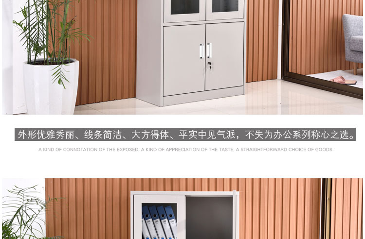 深圳大器械文件柜，深圳兴百胜文件柜厂家