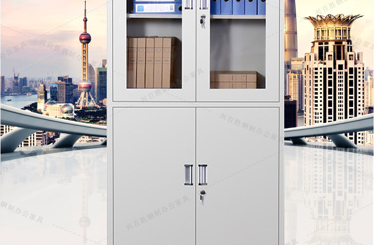 深圳等器械钢制办公文件柜，深圳兴百胜文件柜生产厂家