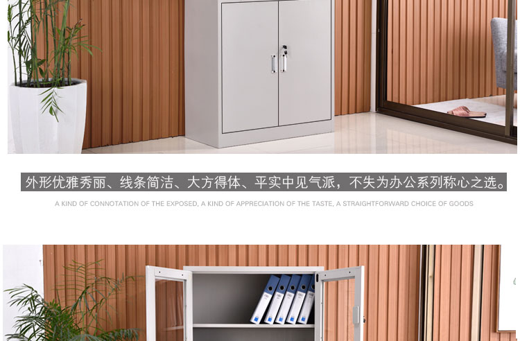 深圳中二抽文件柜，深圳文件柜厂家兴百胜